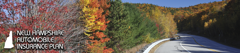 Aipso Plan Sites New Hampshire Aip