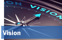 Vision
